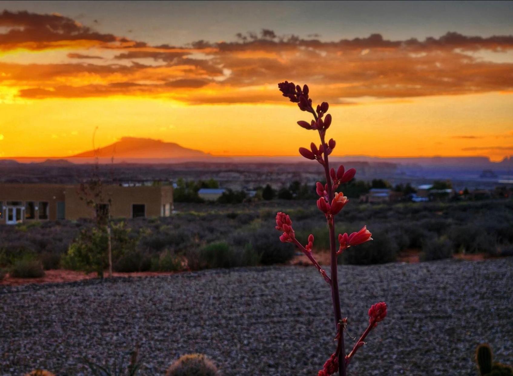 Page Arizona Border Town- Crimson Suite, Desert Canyon Getaway With Views 빅 워터 외부 사진